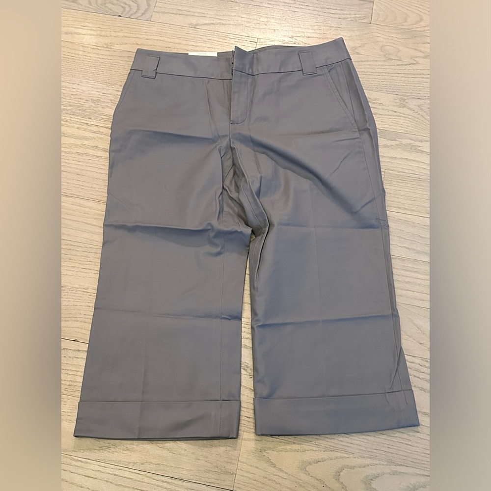 Banana Republic NWT Grey Martin Fit Capris - SZ 10